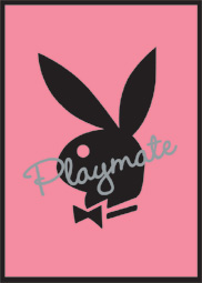 playmate